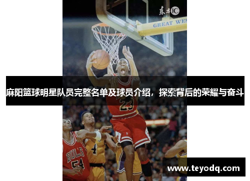 麻阳篮球明星队员完整名单及球员介绍，探索背后的荣耀与奋斗