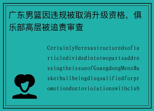 广东男篮因违规被取消升级资格，俱乐部高层被追责审查